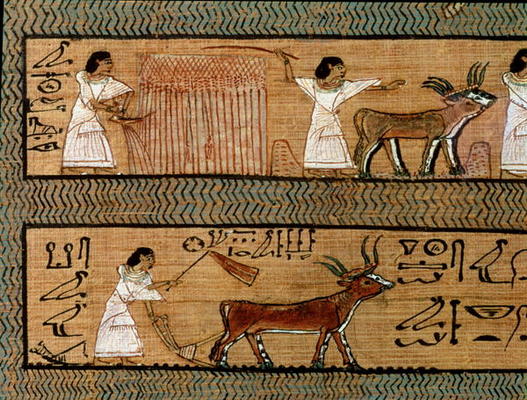 Reaping and ploughing, detail from a depiction of farming activities in the afterlife, from the Book from Egyptian 19th Dynasty