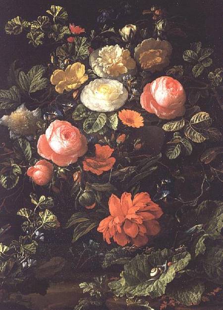 Still Life with Roses, Insects and Snails from Elias van den Broeck