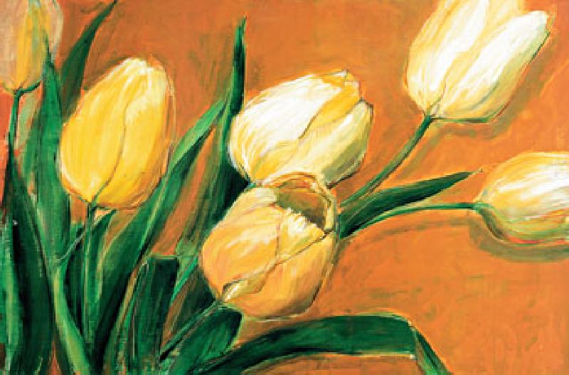 Tulipa Nova from Elisabeth Krobs
