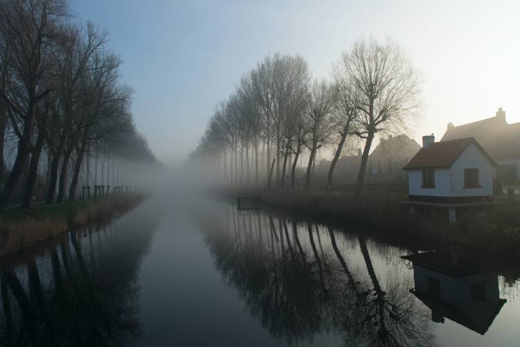 Mist across the Canal from Elisabeth Wehrmann