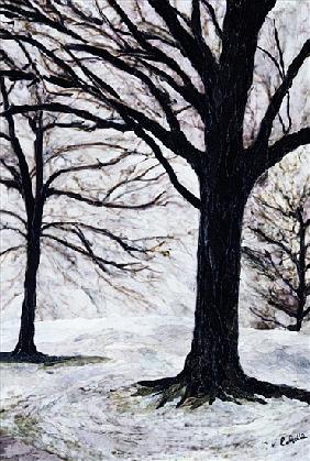 Winter Trees, Greenwich Park
