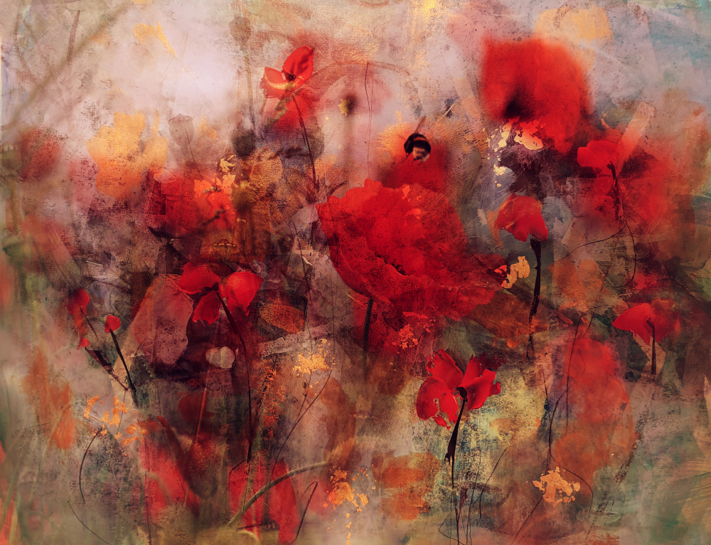 Poppies II from Ellen Van Deelen
