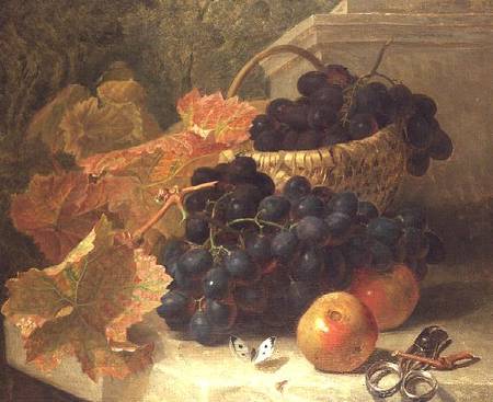 Still Life with Grapes and Scissors on a Stone Shelf from Eloise Harriet Stannard