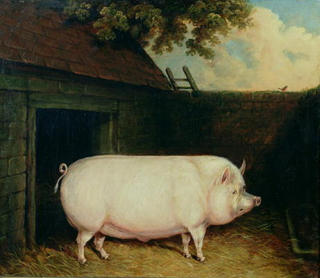 A Pig in its Sty from E.M. Fox