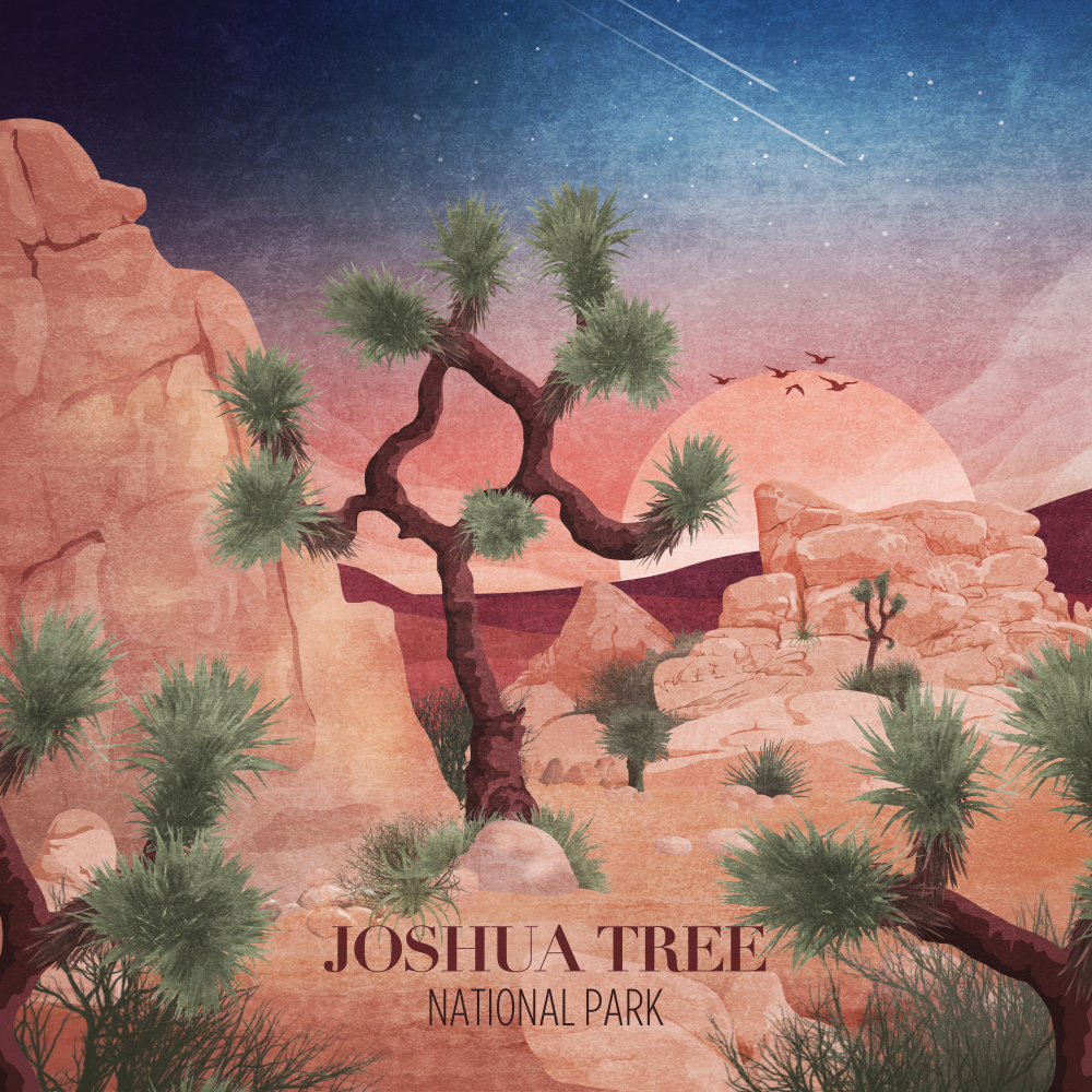 Joshua Tree from Emel Tunaboylu