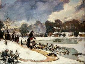 Ducks in the Bois de Boulogne