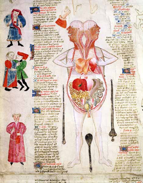 Anatomical diagram, from ''De arte phisicali e de cirurgia'' John Arderne from English School
