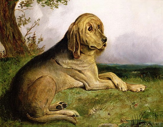 A Bloodhound in a Landscape from English School