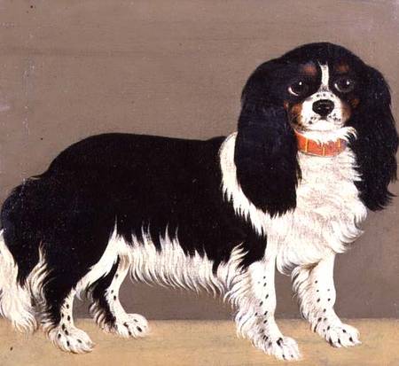 A Cavalier King Charles Spaniel with Puppies (pair of 64046) from English School