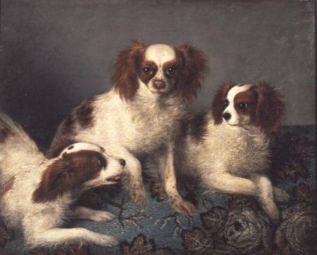 Three Cavalier King Charles Spaniels on a Rug from English School