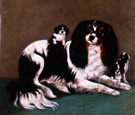 A King Charles Spaniel Family, Provincial School from English School