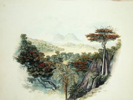 The Mountains, Ceylon  on from English School