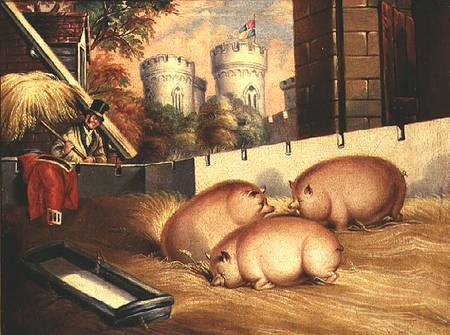 Three Pigs with Castle in the Background from English School