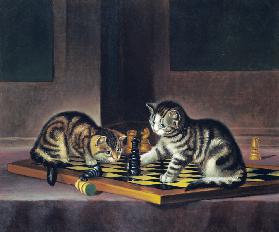Kittens Playing Chess