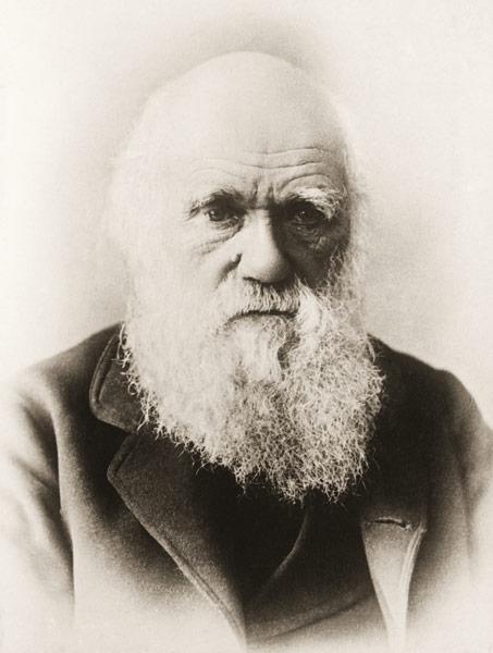 Charles Darwin (litho) 