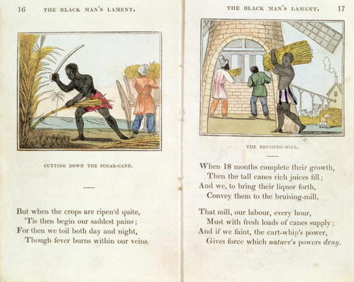 Illustration for the 'Black Man's Lament or How to Make Sugar' by Amelia Opie (1769-1853) 1813 (colo from English School, (19th century)
