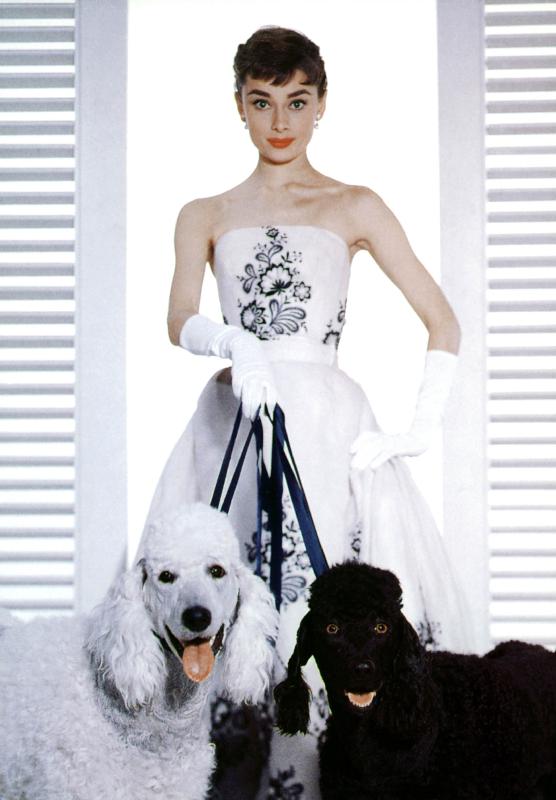 SABRINA de BillyWilder avec Audrey Hepburn from English Photographer, (20th century)