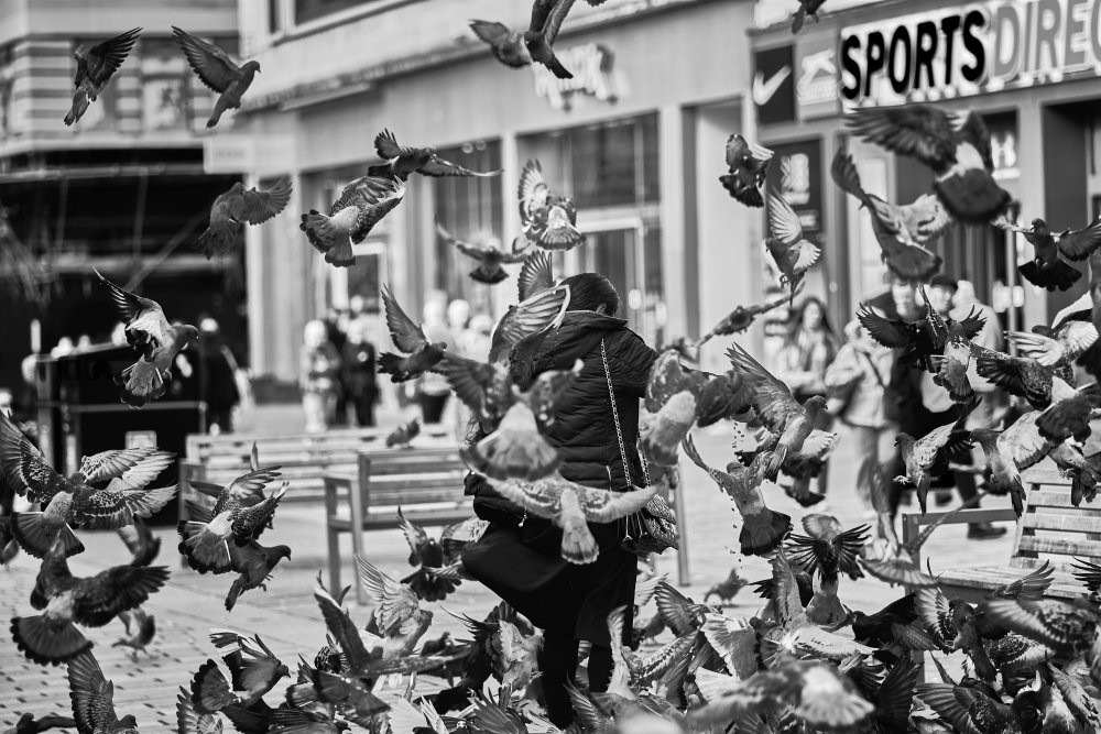 Feeding the pigeons from Enrico Zabeo