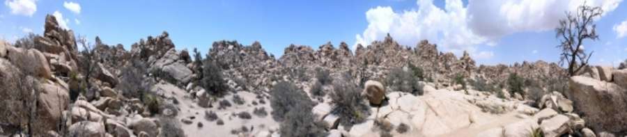 Hidden Valley Joshua Tree NP from Erich Teister