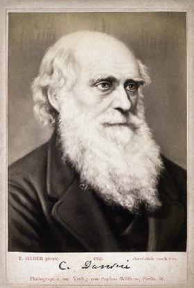 Portrait of Charles Darwin (1809-1882)