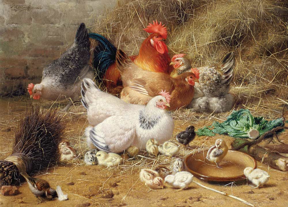 Hens roosting with their chickens from Eugène Remy Maes