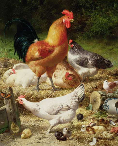 Chickens from Eugène Remy Maes