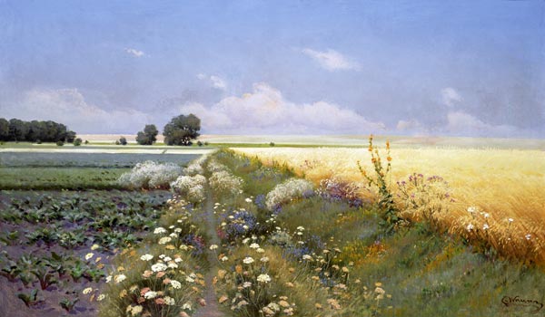 Summer Landscape from Eugeniusz Wrzeszcz