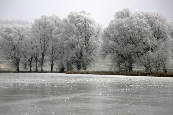 Wintersee from Evelyn Taubert