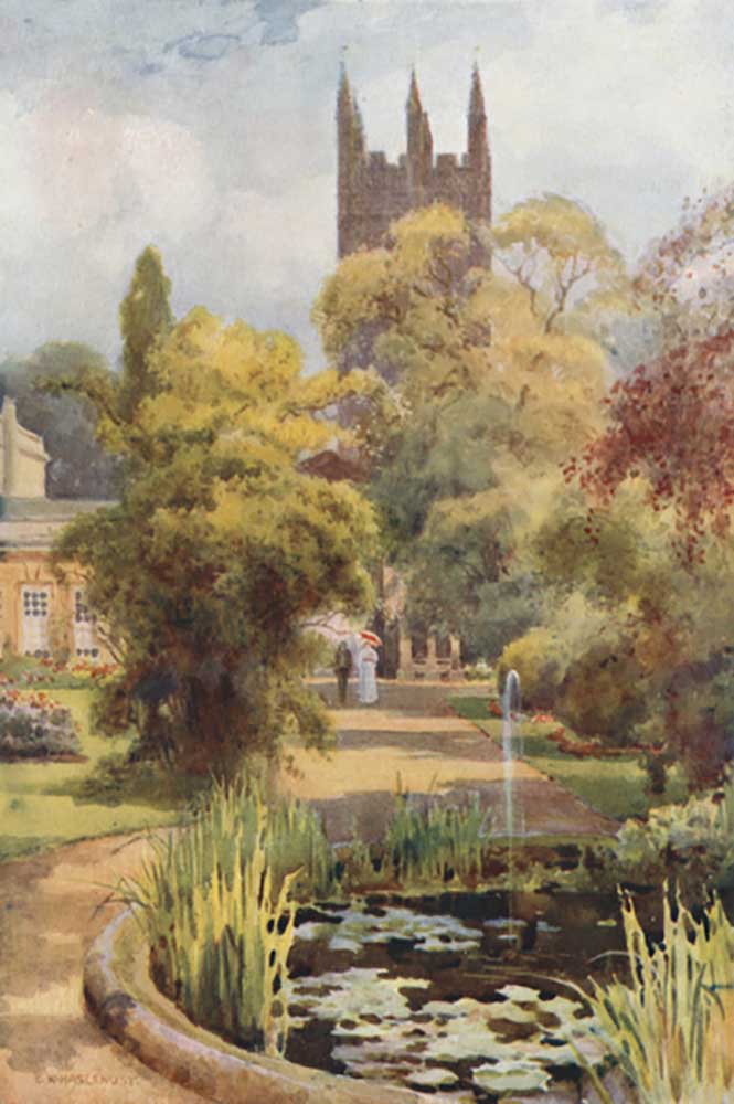 Botanic Gardens and Magdalen Tower from E.W. Haslehust