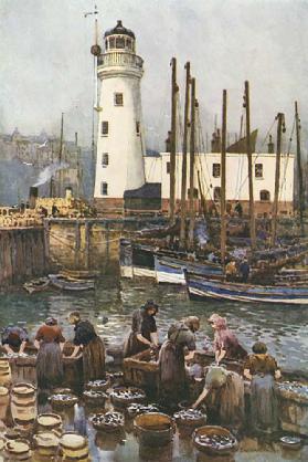 The Harbour during the Herring Season