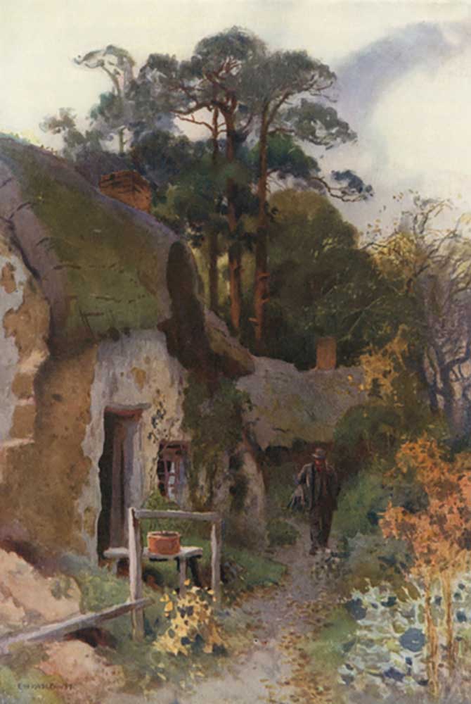 Squatters Cottage from E.W. Haslehust