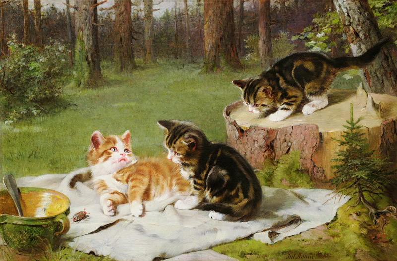 Kittens Playing (oil on canvas) from Ewald Honnef