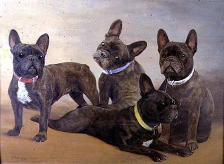 Four French Bulldogs (panel) from F. Mabel Hollams