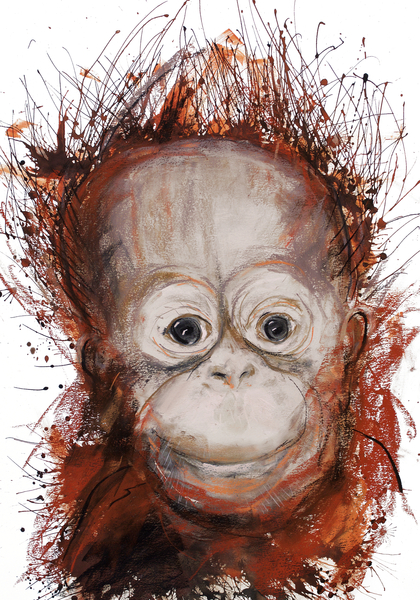Orangutan from Faisal Khouja