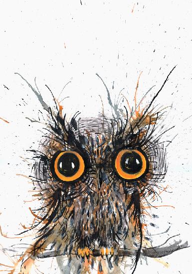 Wide eyed Owl
