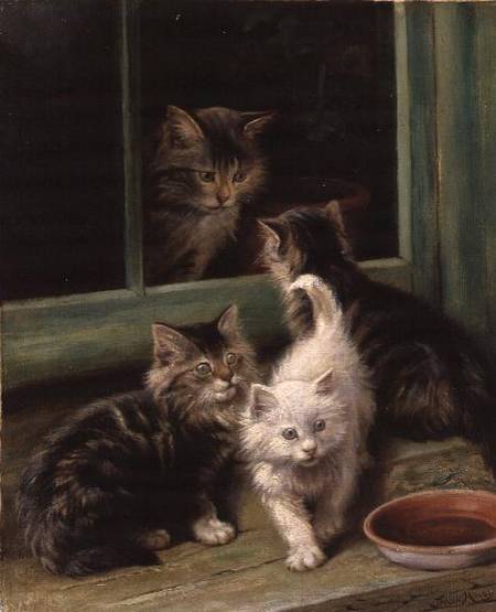 Kittens from Fannie Moody