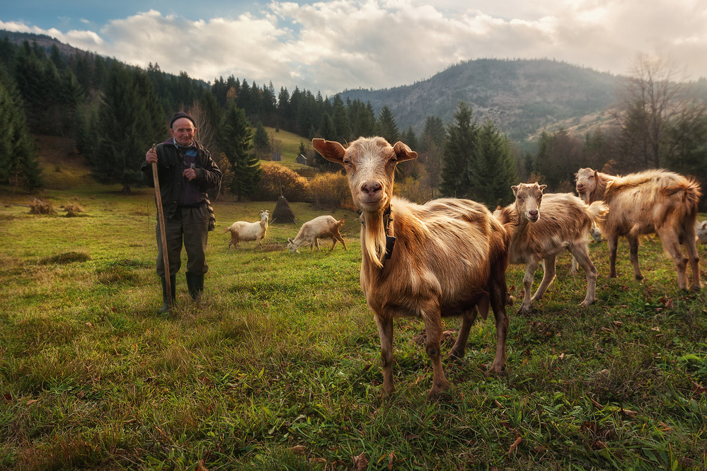A Day in the Carpathian Mountains from Felipe Souto