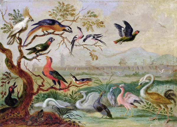 Birds from the Four continents in a landscape with a view of Peking in the background from Ferdinand van Kessel