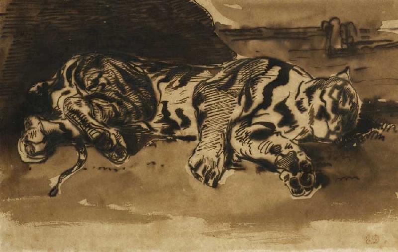 Liegender Tiger (Tigre Couché) from Ferdinand Victor Eugène Delacroix