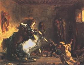 Fighting Arabian horses in a stable