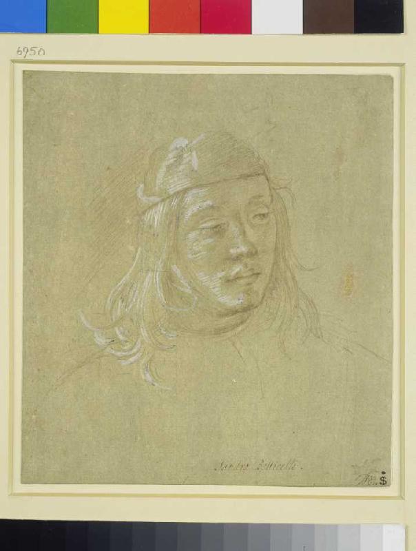 Bildnisstudie eines jungen Mannes. from Filippino Lippi