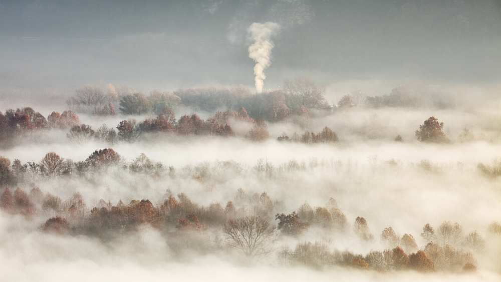 Smooking in the misty valley from Fiorenzo Carozzi