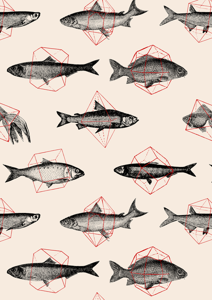 Fishes in Geometrics from Florent Bodart