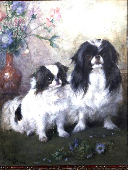A Japanese Chin Bitch and her Puppy from Frances C. Fairman