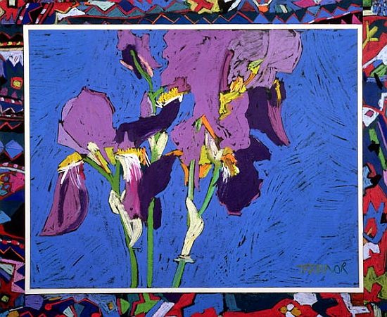 Flag Irises from  Frances  Treanor