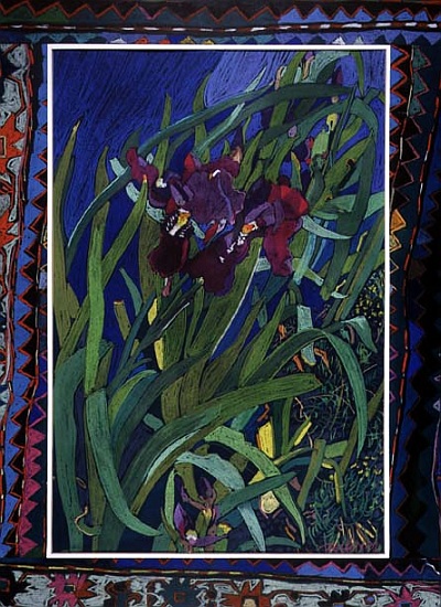Irises from  Frances  Treanor