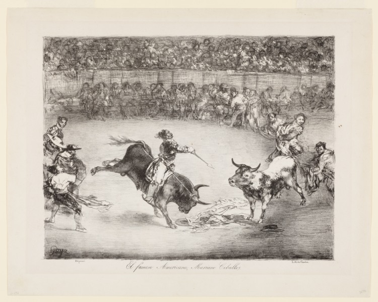 The famous American, Mariano Ceballos
The Bulls of Bordeaux from Francisco de Goya