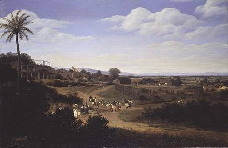 Panoramic View in Brazil  (pair of 61466) from Frans Post