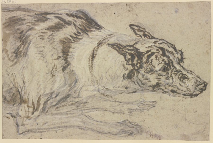 Gefleckter Hundekopf mit Vorderpfoten from Frans Snyders