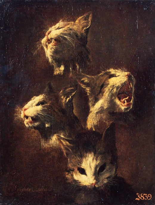 Studies of cats' heads from Frans Snyders